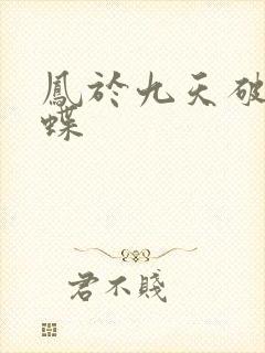 凤于九天破茧成蝶