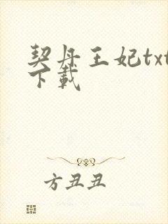 契丹王妃txt下载