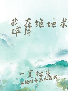 我在绝地求生捡碎片