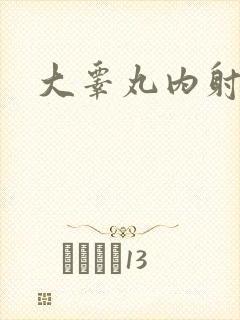 大睾丸内射老师