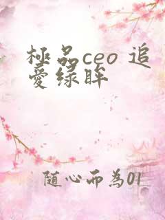 极品ceo 追爱绿眸