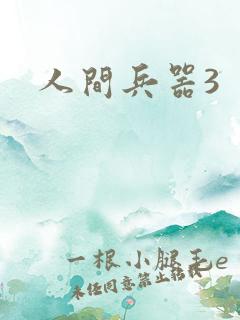 人间兵器3