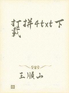 打拼4txt下载