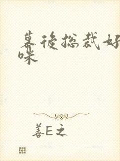 幕后总裁好孕妈咪