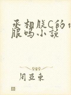 丞相朕C的你舒服吗小说