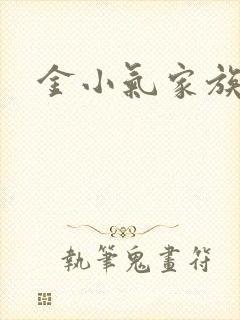 金小气家族小说