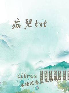 痴儿txt