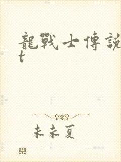 龙战士传说txt