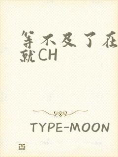 等不及了在车里就CH