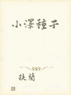 小泽种子