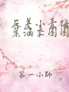 反差小青梅不经叶涵季园园