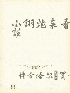 小钢炮来看我小说