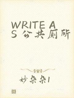 WRITE AS 公共厕所