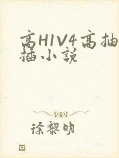 高H1V4高抽插小说
