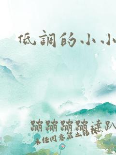 低调的小小宫女