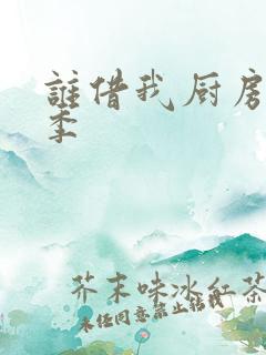 谁借我厨房第二季