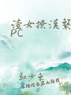 渣女撩汉系统NPC