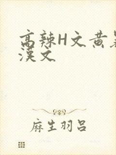 高辣H文黄暴糙汉文