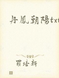 丹凤朝阳txt