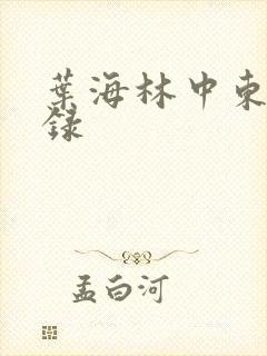 叶海林中东风云录