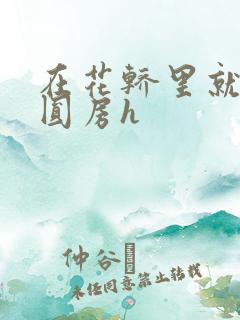 在花轿里就开始圆房h