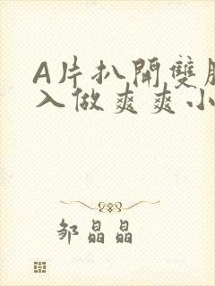 A片扒开双腿进入做爽爽小说