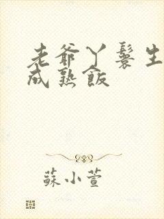 老爷丫鬟生米煮成熟饭