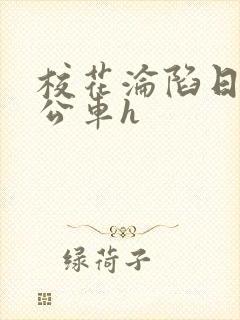 校花沦陷日记h公车h