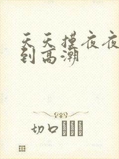 天天摸夜夜摸摸到高潮