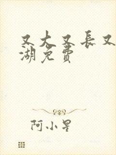 又大又长又租高湖免费