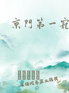 京门第一宠