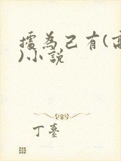 据为己有(高干)小说