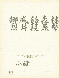 挪威的森林的激烈片段原声