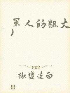 军人的粗大(h)