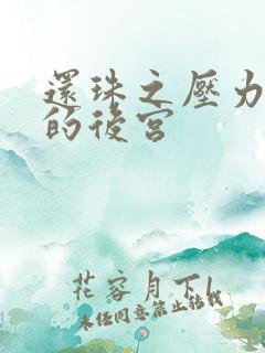 还珠之压力山大的后宫