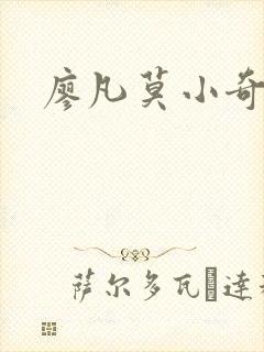 廖凡莫小奇