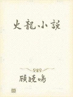 火龙小说