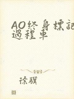 AO终身标记全过程车