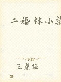 二婚 林小染