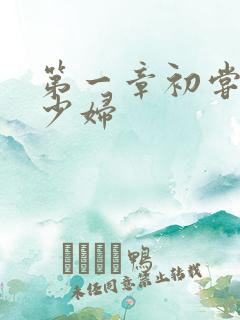 第一章初尝云雨少妇