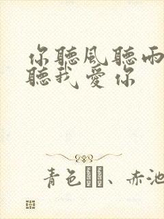 你听风听雨却不听我爱你