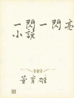 一闪一闪亮晶晶小说