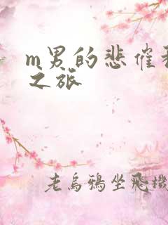 m男的悲催种马之旅