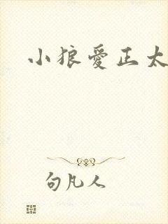 小狼爱正太
