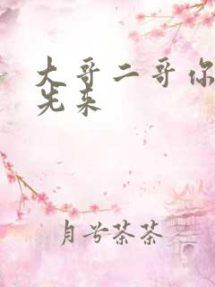 大哥二哥你们谁先来