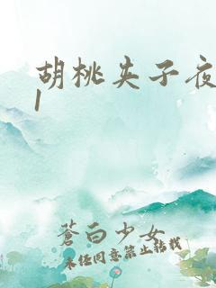 胡桃夹子夜未眠1