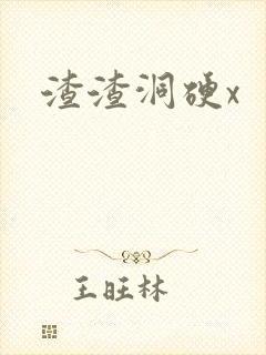 渣渣洞硬x