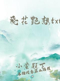 飞花艳想txt