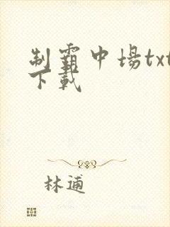 制霸中场txt下载