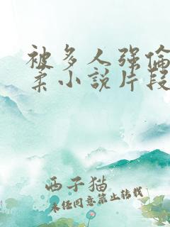 被多人强伦的小柔小说片段